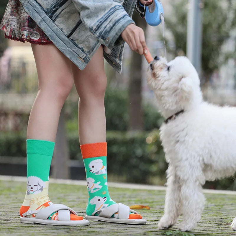 1 Pair Man Women Sock Original AB Tide Socks Colorful Cat Dog Koala Cow Cotton Socks Four Seasons Unisex Socks for Birthday Gift